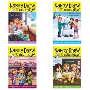 ❄️3 for 2❄️ Nancy Drew and the Clue Crew Books | Set of 5